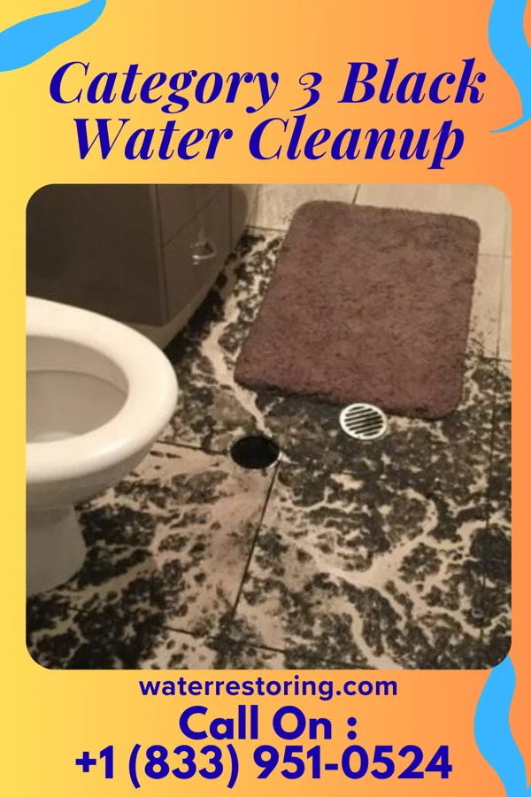 Category 3 Black Water Cleanup in Saratoga Springs, UT